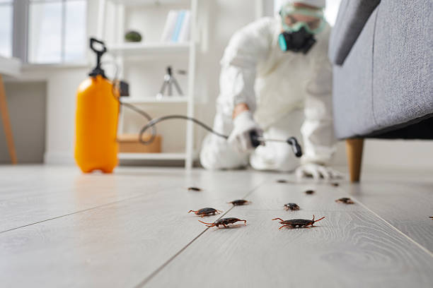 Post-Treatment Bed Bug Interceptor Monitoring in Galesville