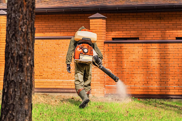 Bed Bug Clearance Verification and Documentation in Galesville